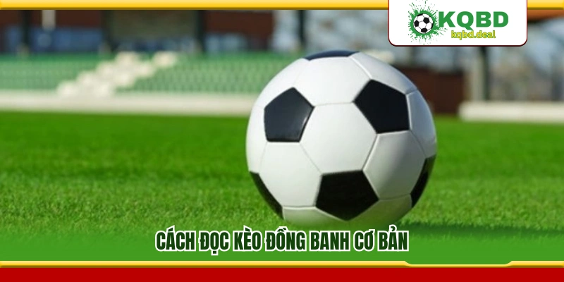 Hướng dẫn đọc kèo đơn giản